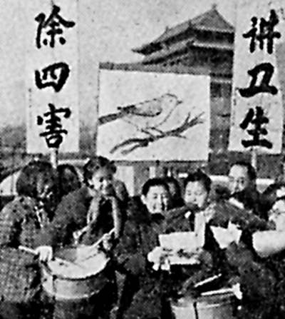 ȫ롰ĺ˶